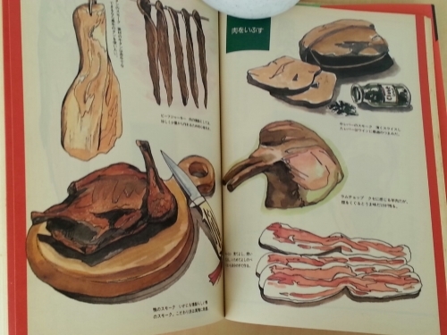 日曜日の遊び方』シリーズ本 : なるべくやってみる。…のだ。