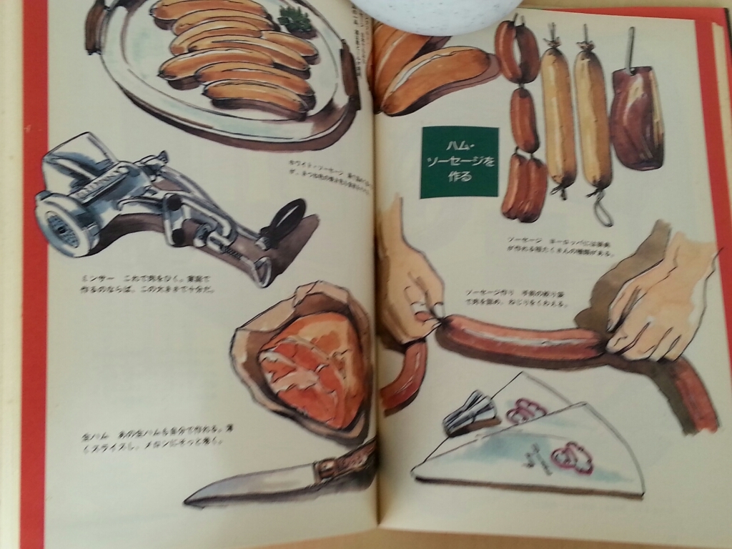 日曜日の遊び方』シリーズ本 : なるべくやってみる。…のだ。