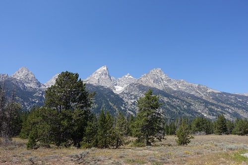 d0193569_18332580.jpg