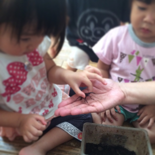 8月14日の給食_c0293682_17231330.jpg