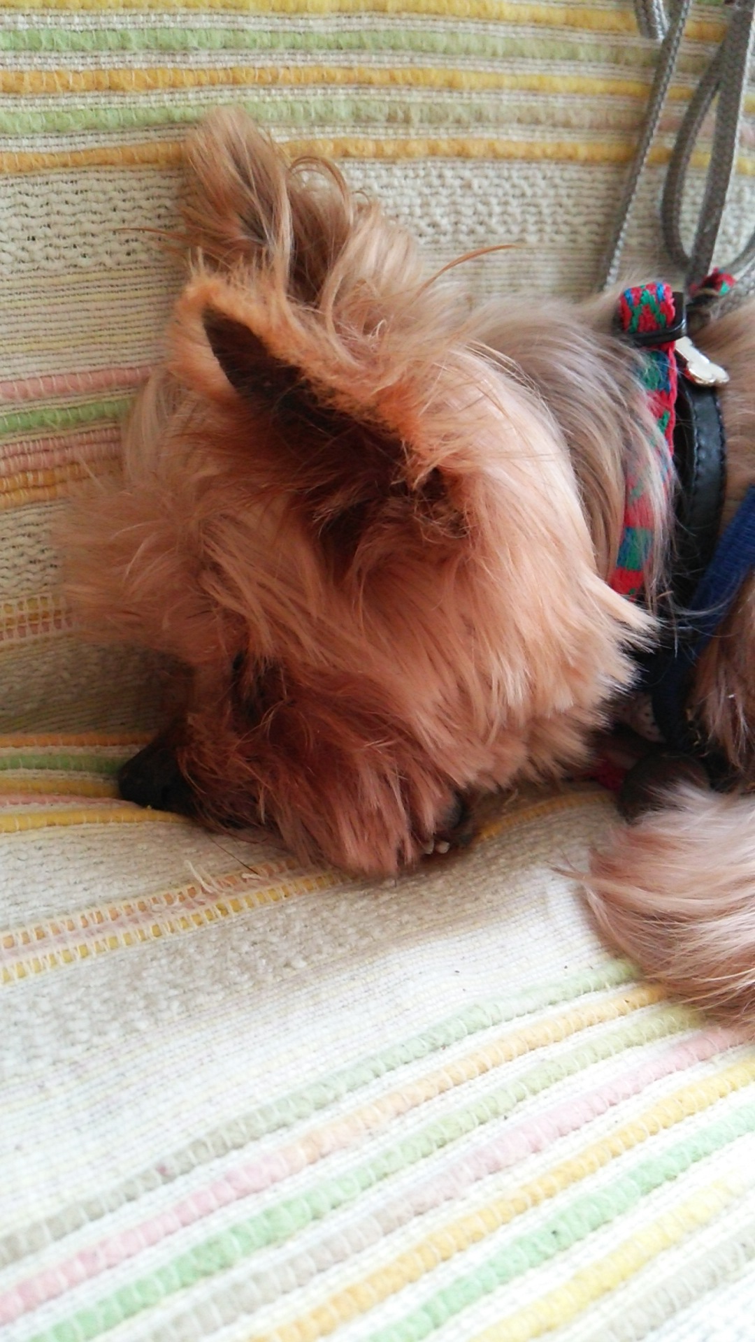 c0191390_1233723.jpg