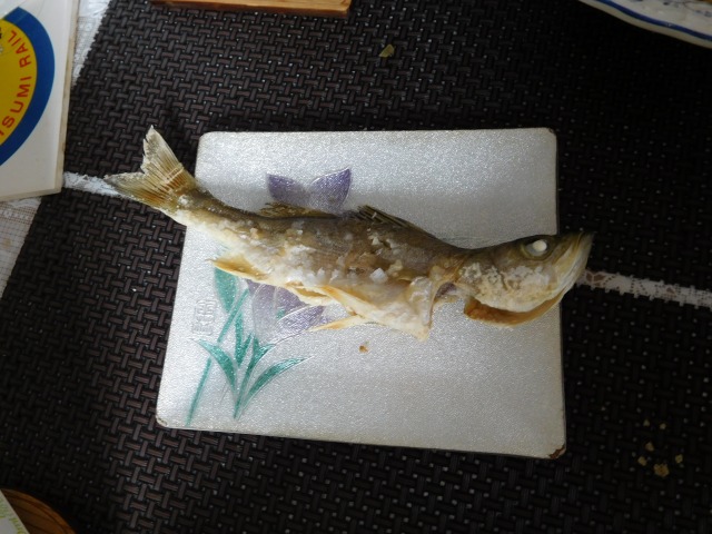 焼津で釣った魚料理しました（・∋・）_b0013293_6573381.jpg