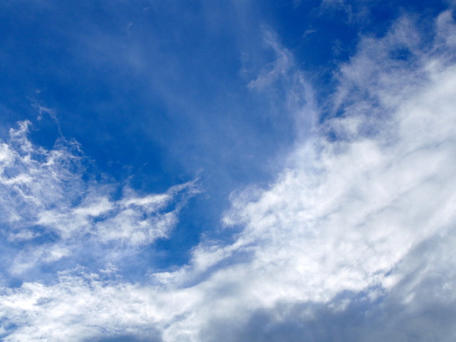 f0231393_1715627.jpg