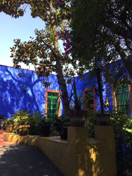 2015 Mexico フリーダ・カーロ邸_c0108595_255645.jpg