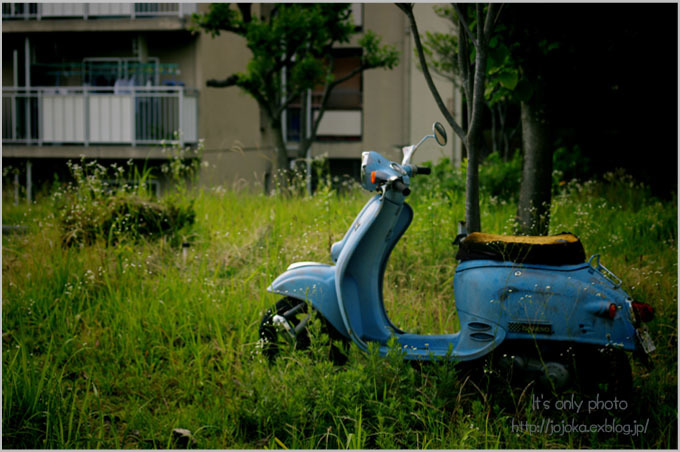 motorbike_e0008800_17355152.jpg