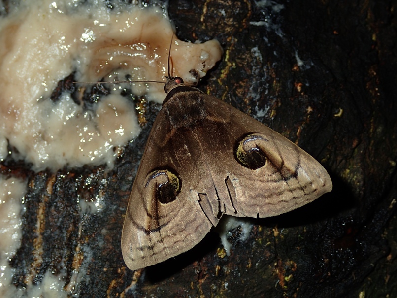 b0137208_112346.jpg