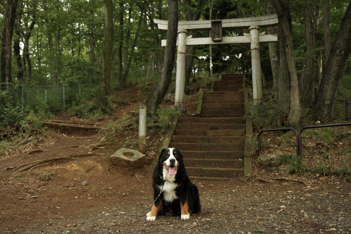 夏山登山　第２弾!!_f0137508_11422363.jpg