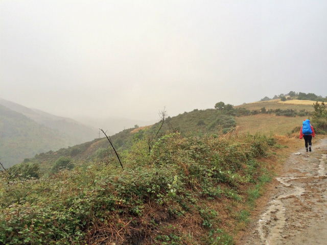 b0064411_01440420.jpg