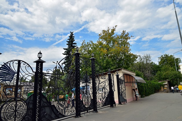 a0151913_5231072.jpg