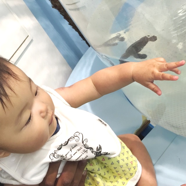 オボンオボン_f0150413_913520.jpg