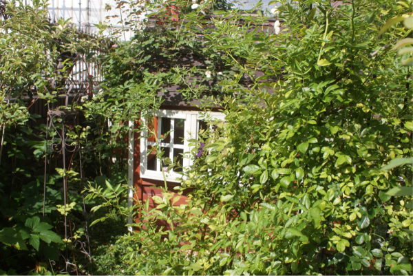 f0170524_12572221.jpg