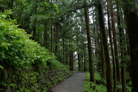 e0335926_17393758.jpg
