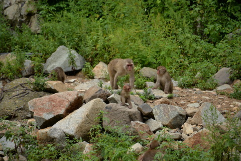 e0335926_18084749.jpg