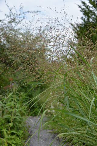 e0335926_21592299.jpg