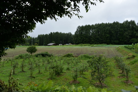 e0335926_22221913.jpg