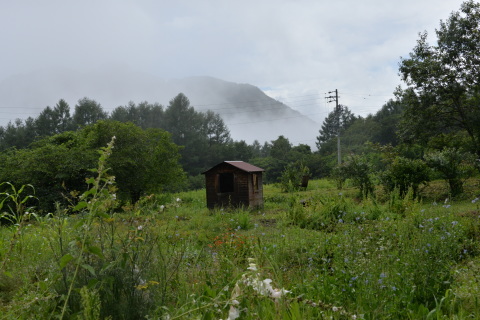 e0335926_22384718.jpg