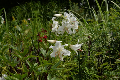 e0335926_22414253.jpg
