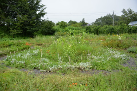 e0335926_22473591.jpg