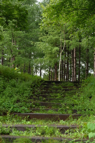 e0335926_22483816.jpg
