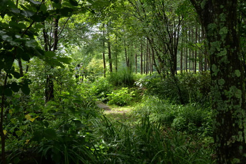 e0335926_22514491.jpg