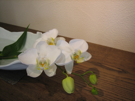 終戦70年_b0100229_13304120.jpg