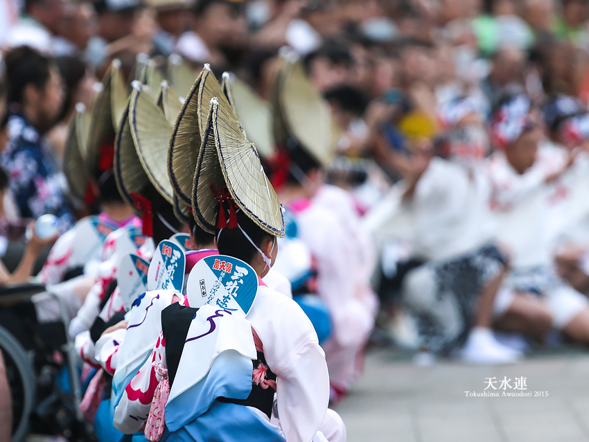 Tokushima Awaodori 2015　vol.2_d0195335_1453528.jpg