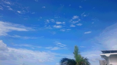 8月15日お久しぶりでございます_b0158746_166289.jpg