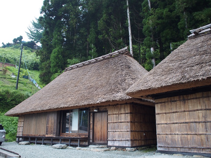 祖谷の旅　8年ぶり2回目_a0002447_9362741.jpg