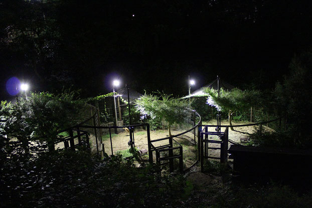 e0294253_11101322.jpg