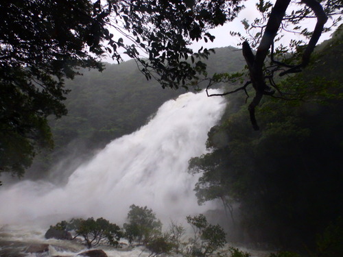 b0160957_13342543.jpg