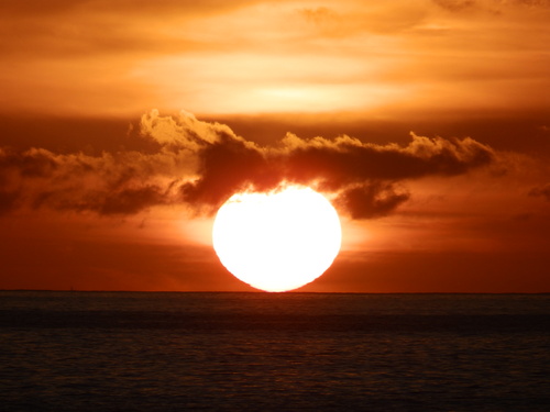 b0160957_1342957.jpg