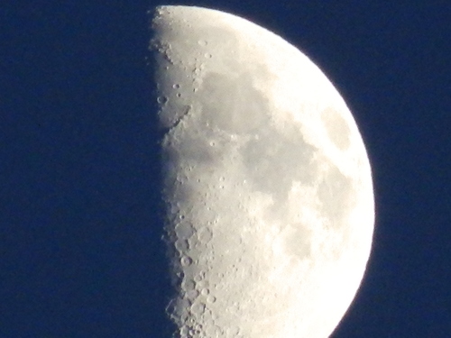 b0160957_13432639.jpg