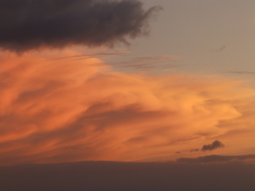 b0160957_13464824.jpg