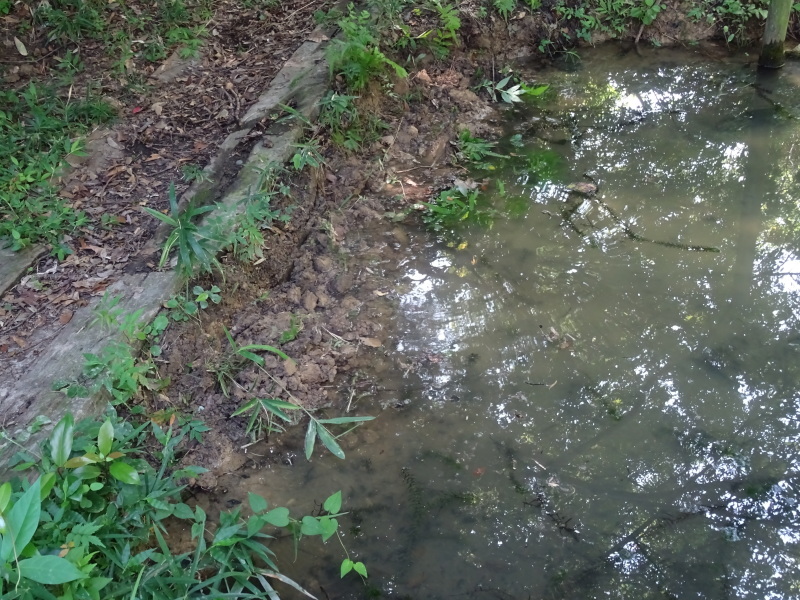 c0108460_16532701.jpg