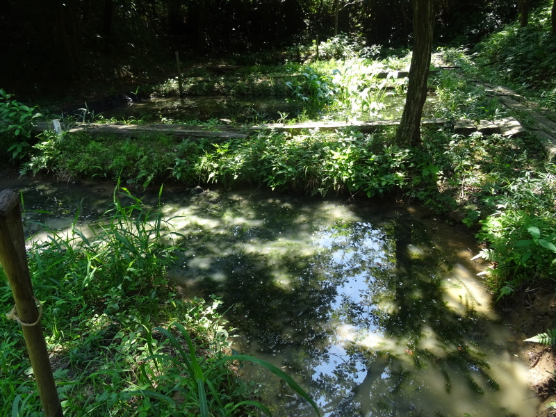 c0108460_16581010.jpg