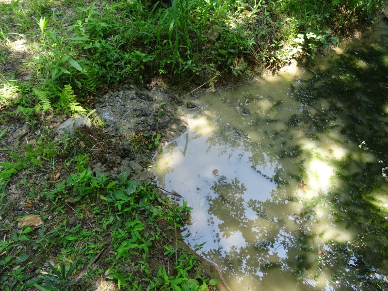 c0108460_16581870.jpg