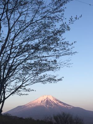 朝の富士山_c0171862_22453352.jpg