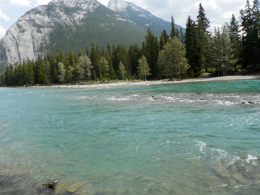 a0124077_8543487.jpg