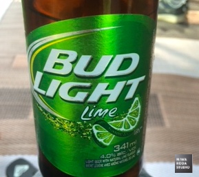 August 18, 2015 夏のベストビール Best Beer in this Summer_a0307186_137193.jpg