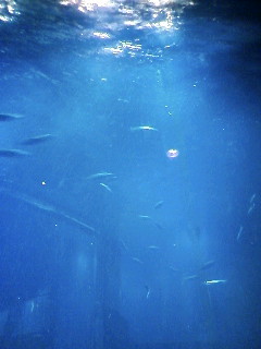 d0039189_23202639.jpg