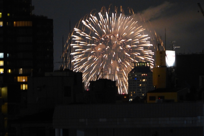 なにわ淀川花火大会_f0227396_17543342.jpg