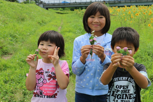 孫３人を連れて、花沢大橋北側のひまわり畑へ・・・６_c0075701_10415542.jpg