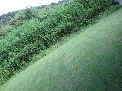 c0212604_6134158.jpg