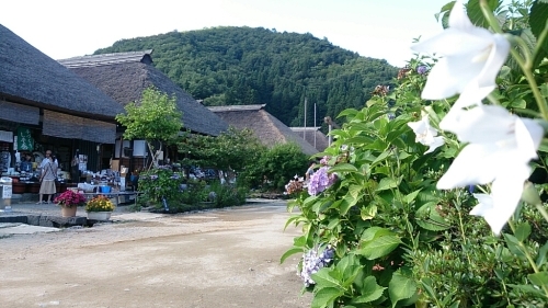 b0298605_17573705.jpg