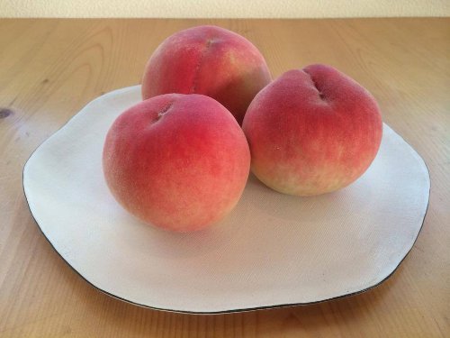 ルバーブと和歌山の果物のじゃむ〈桃_a0251920_851627.jpg