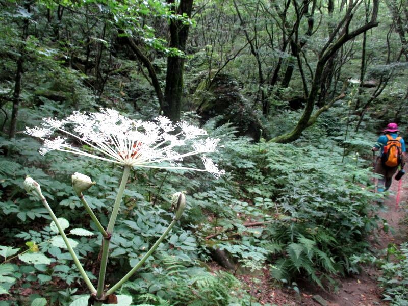 山崖 HARU_mountain | まもなく撤去される――そんな噂のある、富士山の