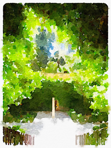 Waterlogue  写真を水彩画に_b0015223_21392697.jpg