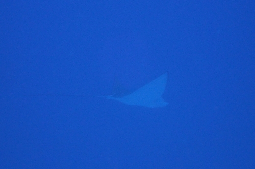 b0158923_16050119.jpg