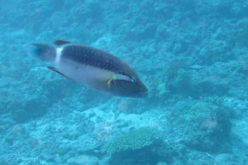 b0158923_16050880.jpg