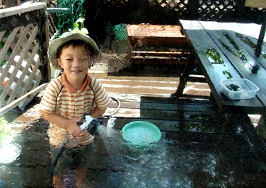 c0204725_1234139.jpg